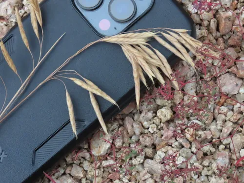 Porter Brome — photo by Michael Shoop