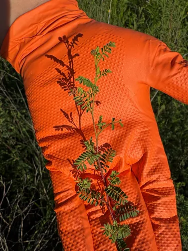 Black Prairie Clover