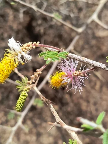 Aroma — photo by Shikhar Kaushik