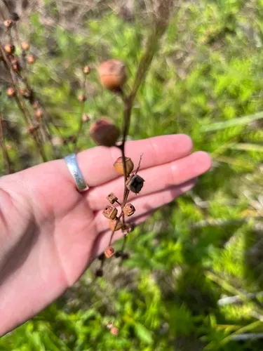 Seedbox — photo by Autumn Bragg
