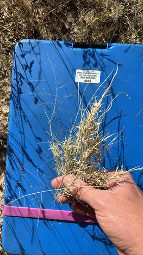 Ear Muhly — photo by Colin Danch