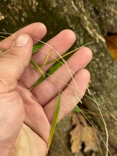 Rock Muhly — photo by Chris Stahl