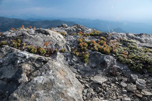 Olympic Mountain Rockmat