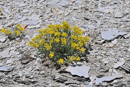 Dudley Bluffs Twinpod