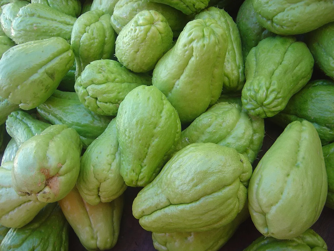 Chayote — photo by Wikimedia Commons