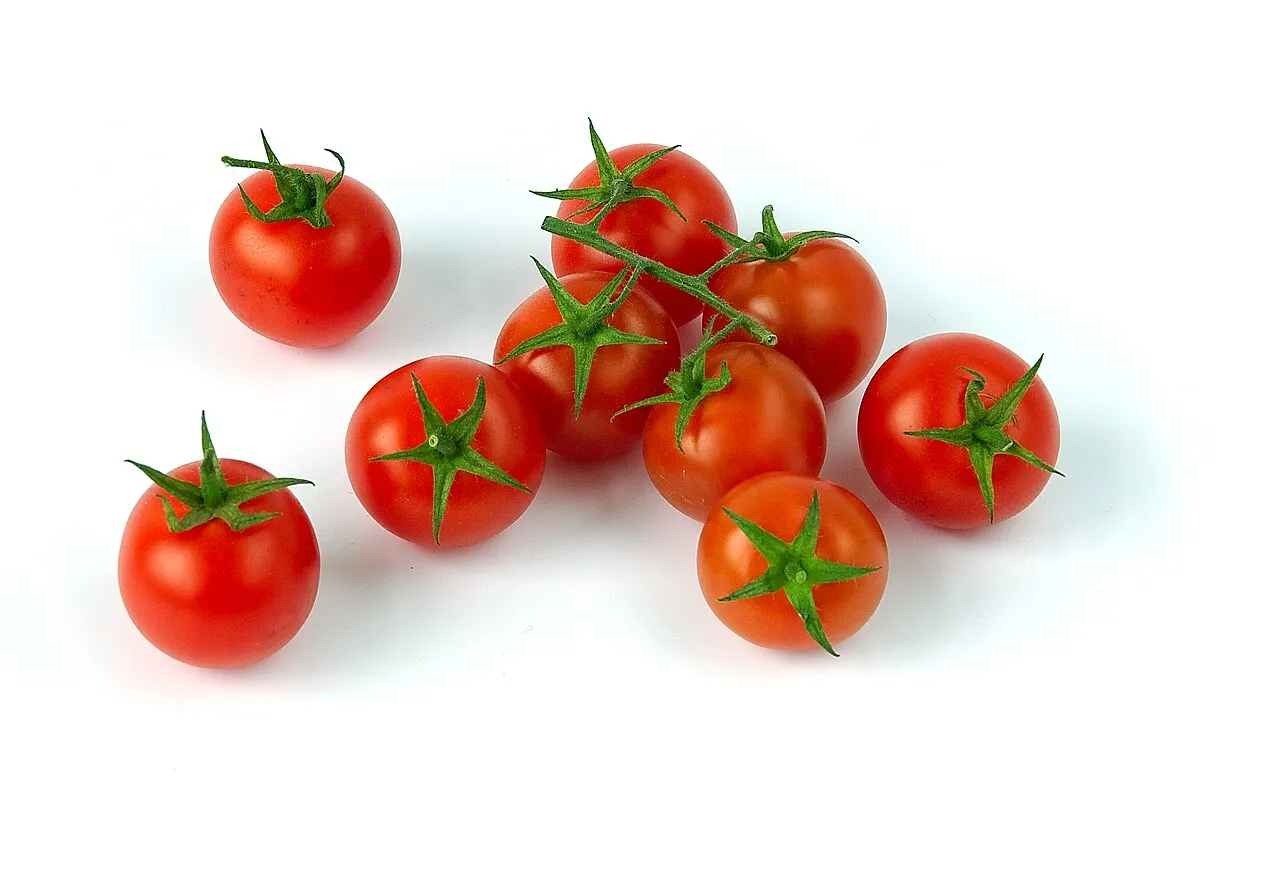 Garden Tomato (var. cerasiforme) — photo by Luc Viatour